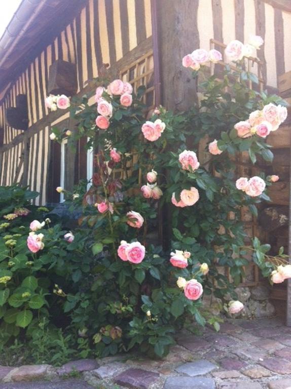 Bed and Breakfast A la Bergerie Honfleur Exterior foto